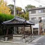 戸川陣屋の井戸。後ろの石垣は門の土台と思われる。