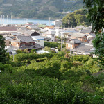 裏山から望む栖原の町。手前の蜜柑畑が拙堂も訪れた菊池溪琴邸跡。