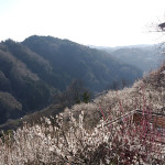 遊歩道沿いの一目八景から名張川の谷を望む。