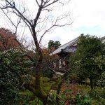 拙堂たちが嵐山の宿所とした瑞應院。現在は非公開の曇華院。